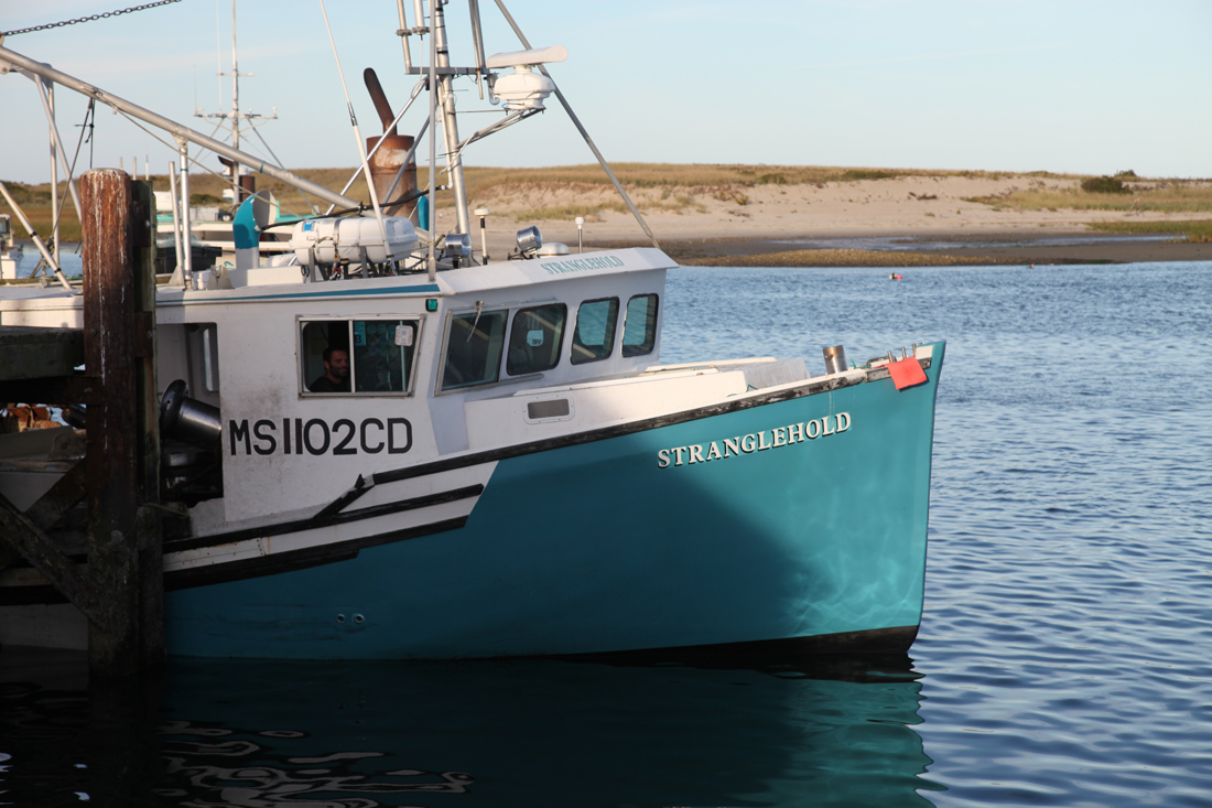 commercial fishing essay Facts of the catch: occupational injuries, illnesses, “facts of the catch: occupational injuries, illnesses, and fatalities to and commercial fishing. commercial fishing essay Facts of the catch: occupational injuries, illnesses, “facts of the catch: occupational injuries, illnesses, and fatalities to and commercial fishing.