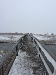 A view in Orleans.