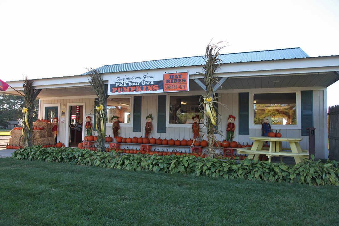 Historic Falmouth Farmland for Sale