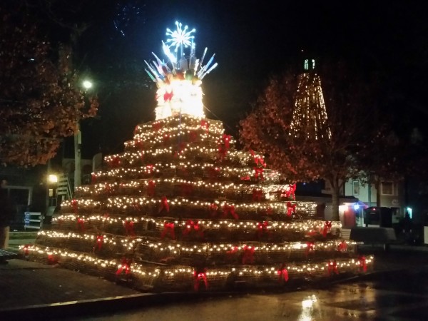 The Pilgrim Momument appears to tower over the Lobster Pot tree in Provincetown