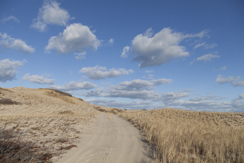 January Province Lands
