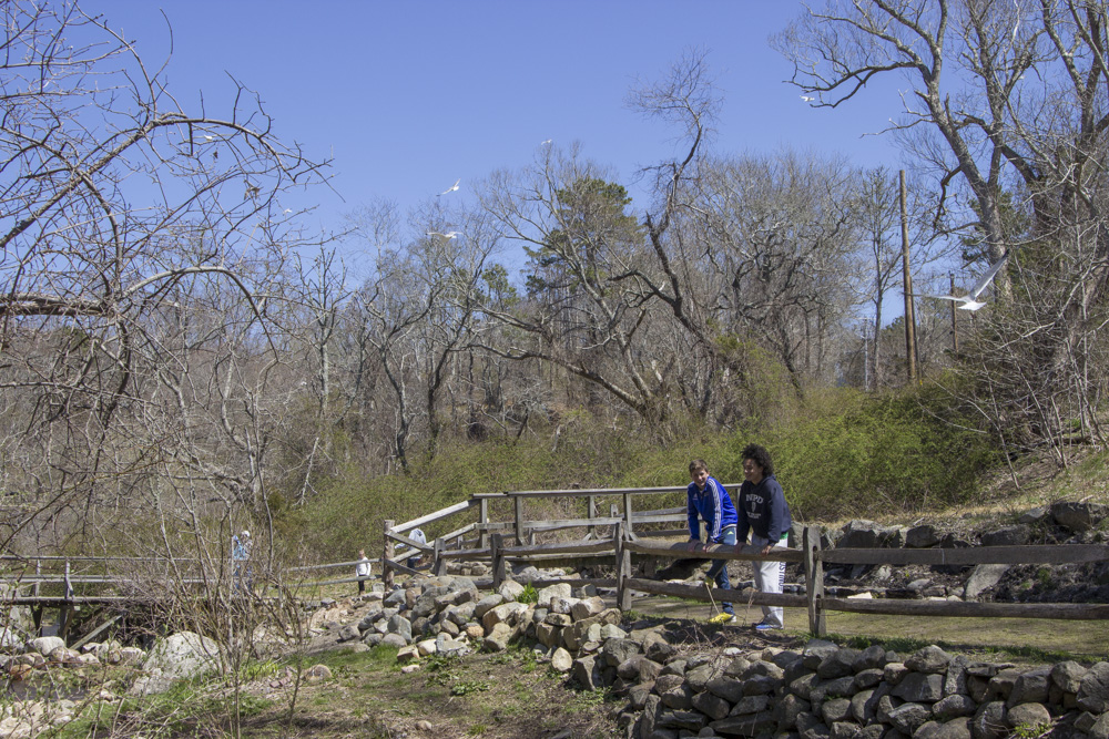 Visit the Brewster Herring Run