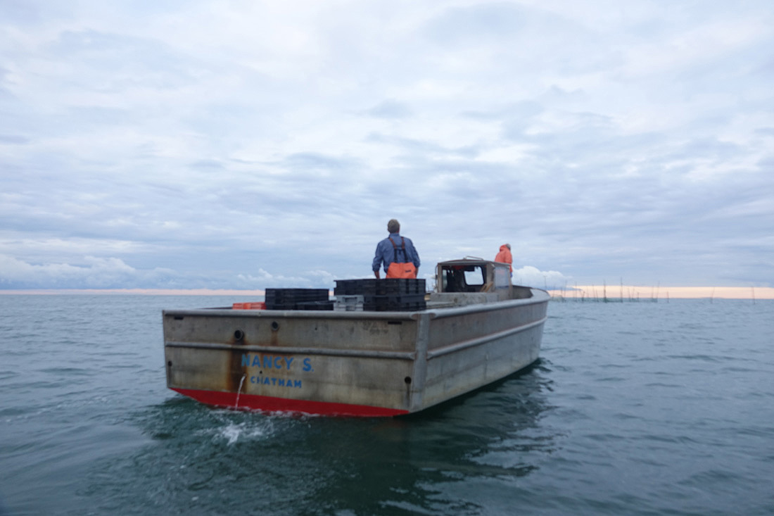 A Day at Sea: Weir Fishing on the Nancy S!