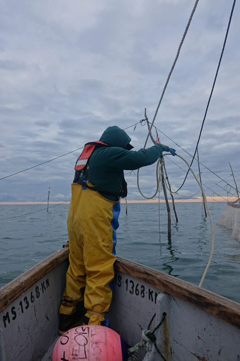 A Day at Sea: Weir Fishing on the Nancy S!