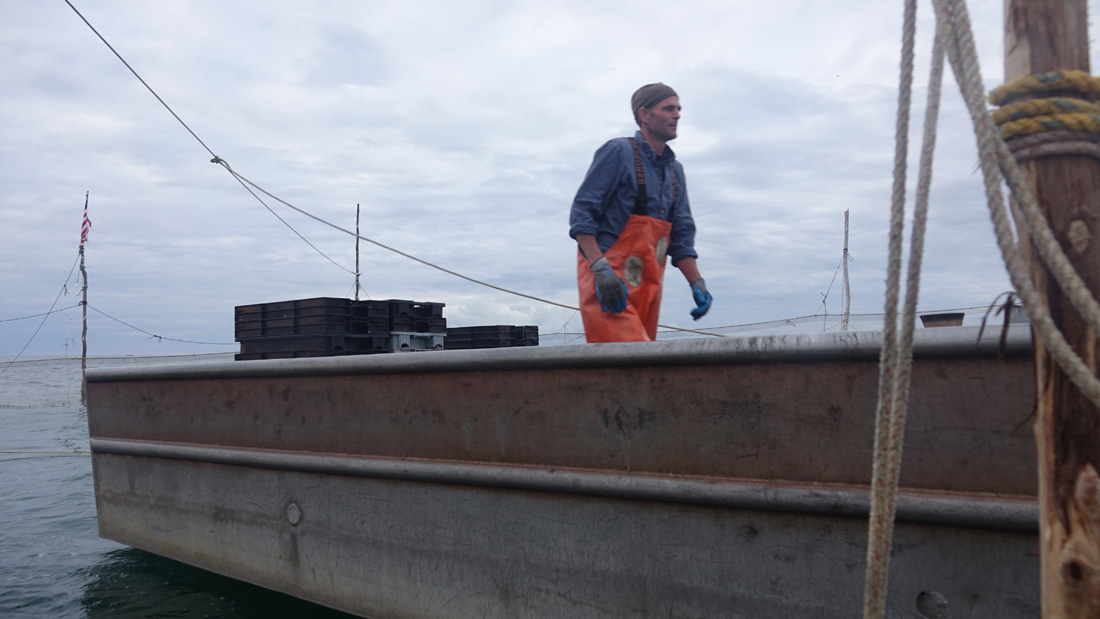 A Day at Sea: Weir Fishing on the Nancy S!