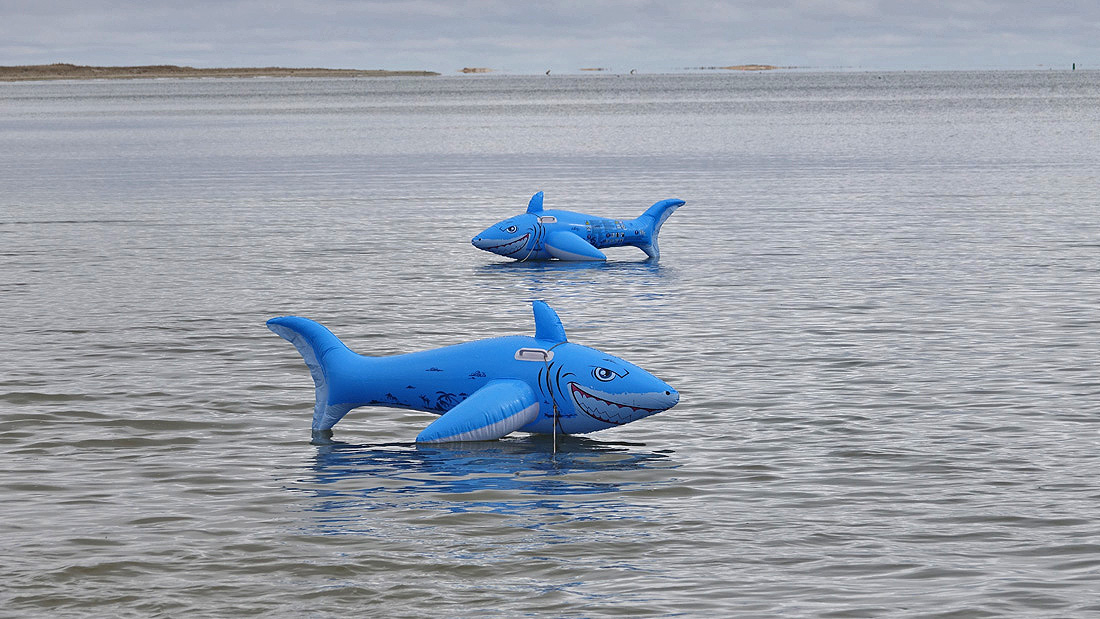 April Fools Plunge to Support Coomber Family Held In Chatham!