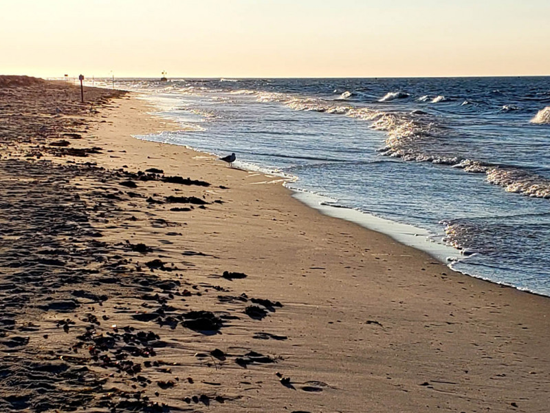Bank Street Beach