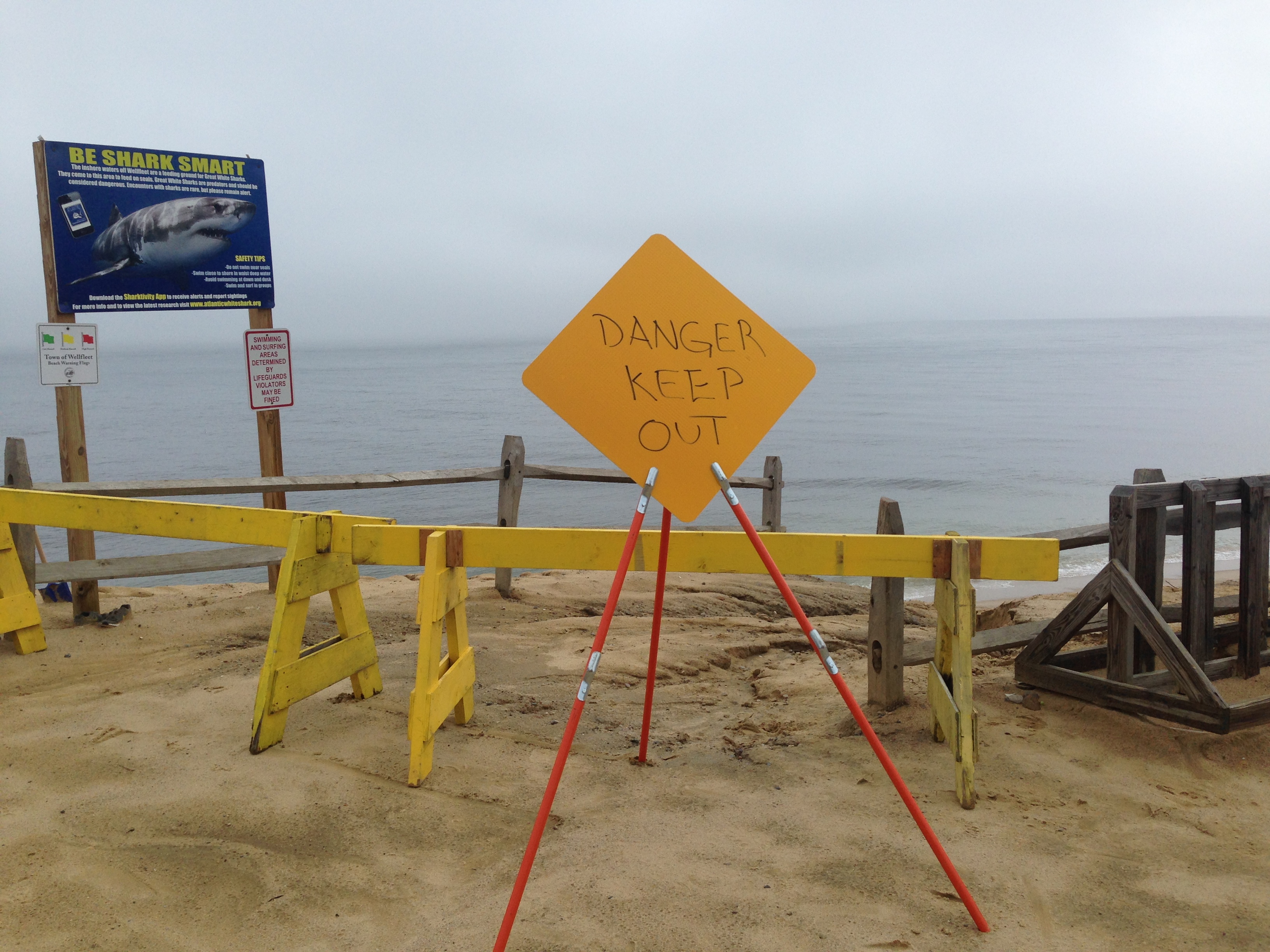 More Photographs from The Parking Lot