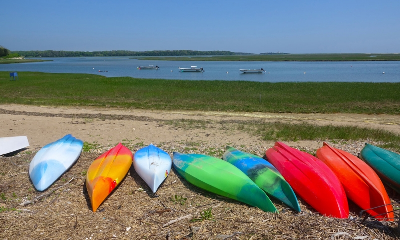 CAPE COD VIEWS: EARLY SUMMER SCENIC