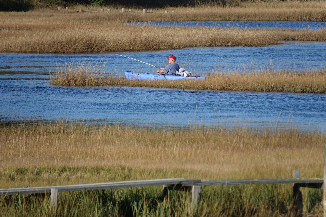 Cape Cod Watercolors!