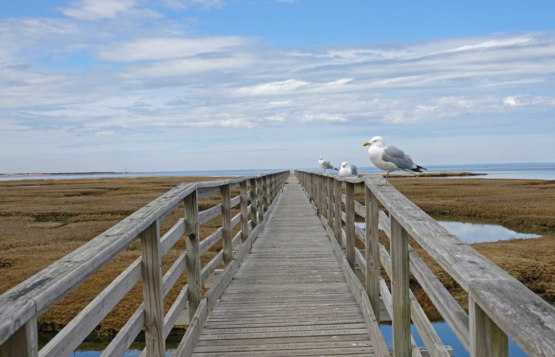 Cape Cod Scenic March Gems!