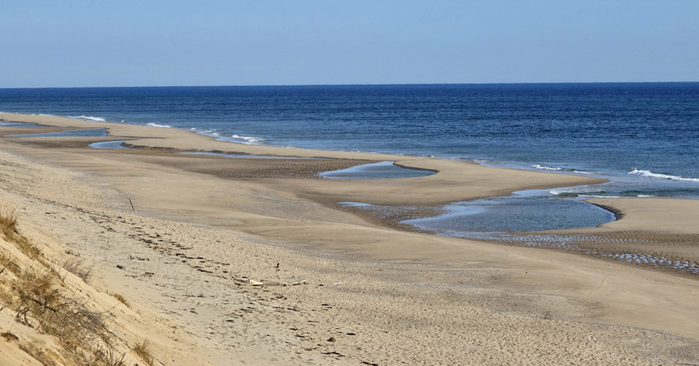 Carpe Diem: Atlantic-side Beaches, Wellfleet!