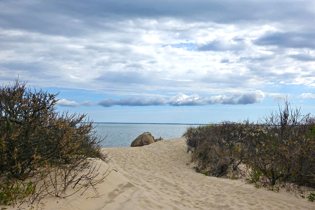 Crowes Pasture A Picture Perfect Hike in Dennis!
