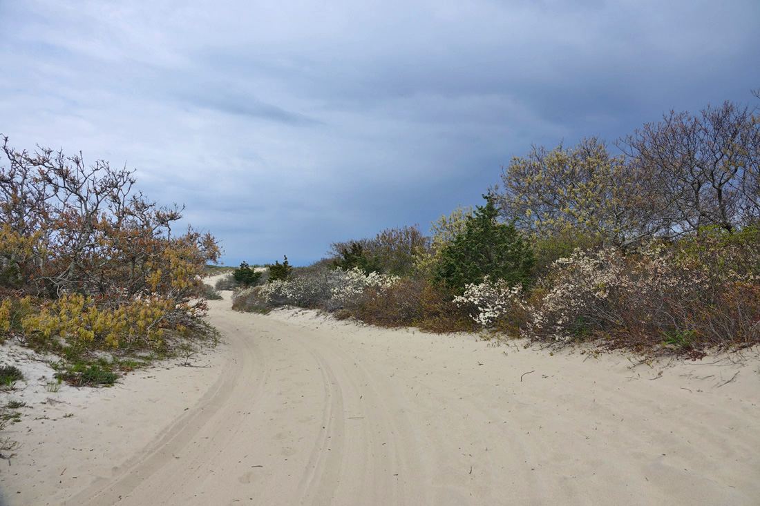 Crowes Pasture A Picture Perfect Hike in Dennis!