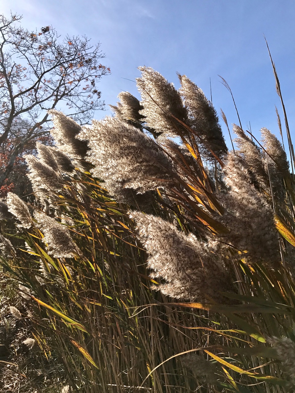 Stunning photos from around cape cod