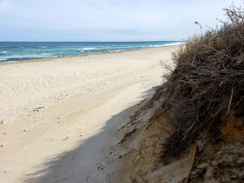 PHOTOS Checking Out East Sandwich Beach