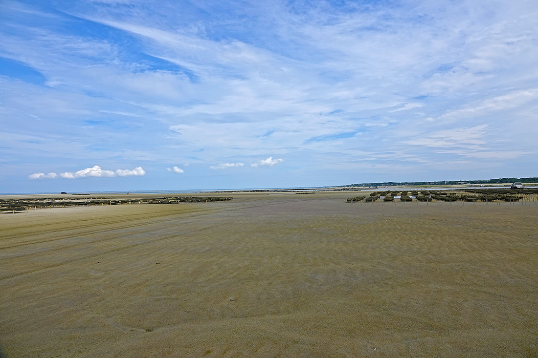 Endless Tidal Flats Off Crowe's Pasture!