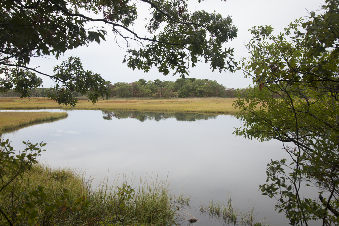 Exploring Harwich Serene Photos Along the Herring River