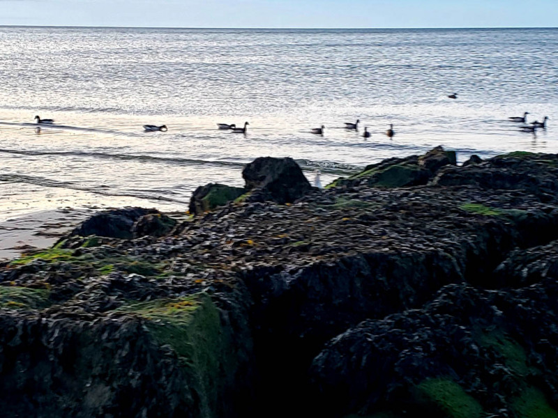 Inman Beach