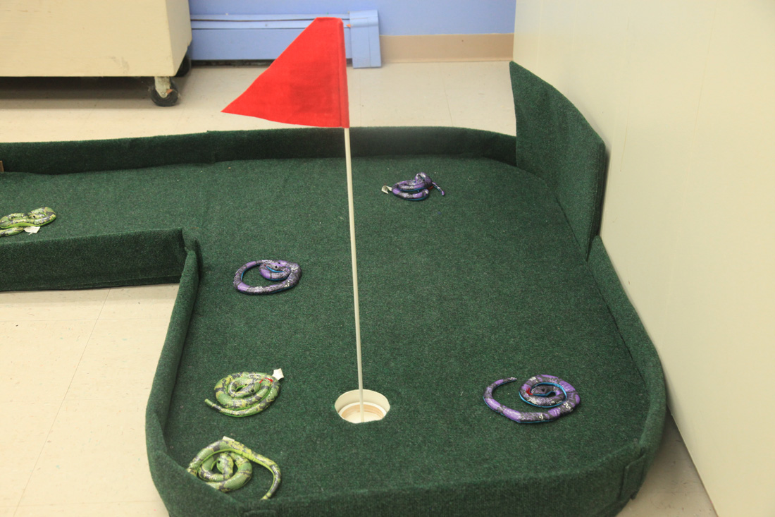 Indoor Mini Golf Held At Cape Cod Museum Of Natural History