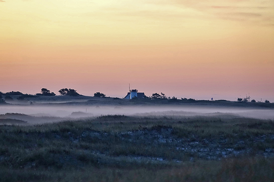 Mist in the Meadow Sunrise!