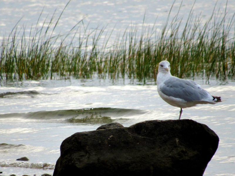PHOTOS Monument Beach Marina