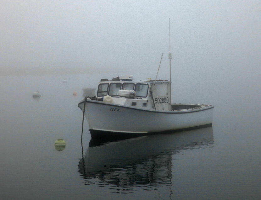 Morning Mood Photos Around Chatham