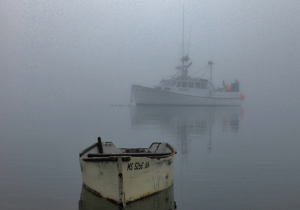 Morning Mood Photos Around Chatham