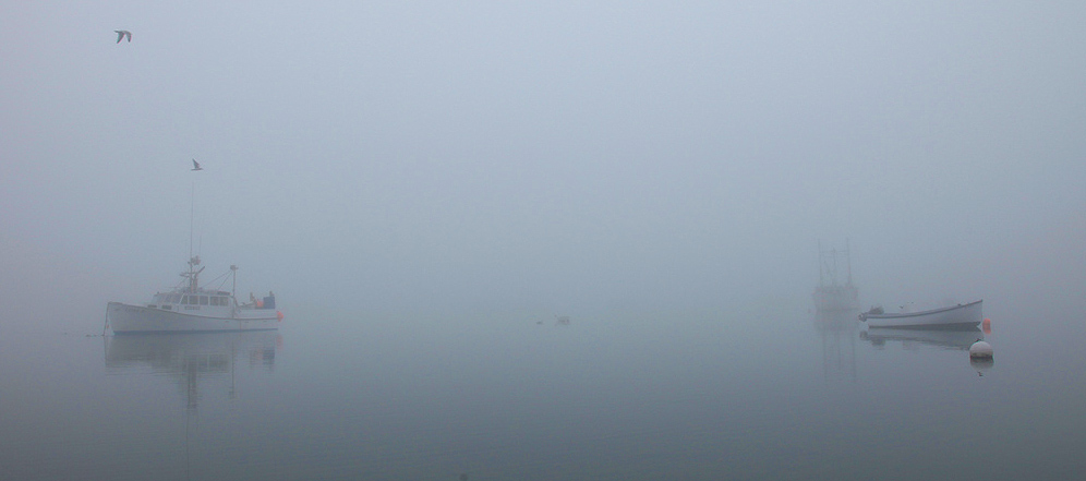 Morning Mood Photos Around Chatham