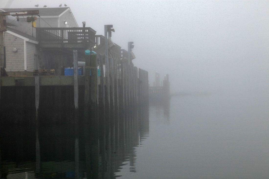 Morning Mood Photos Around Chatham