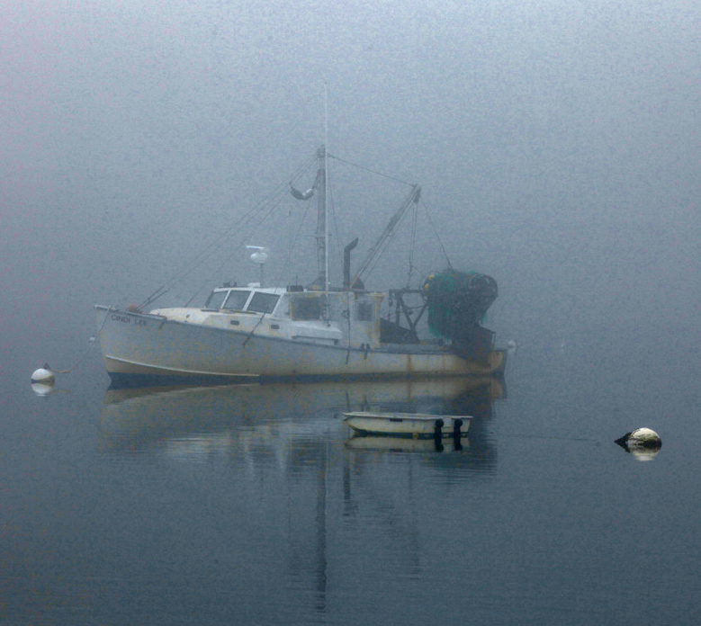 Morning Mood Photos Around Chatham