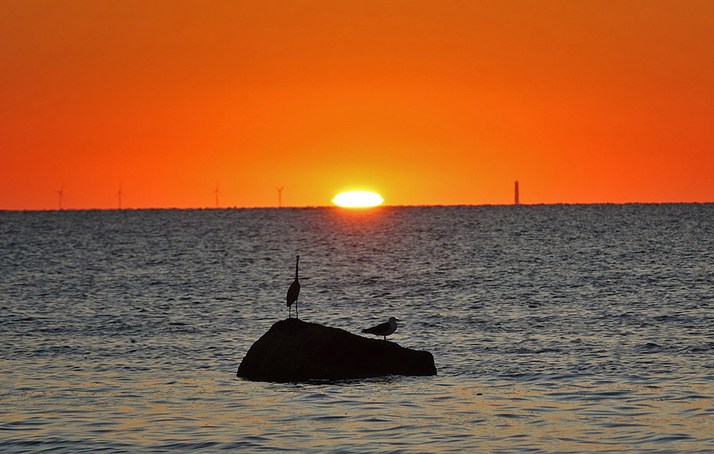 October Skies: Skaket Beach Sunset!