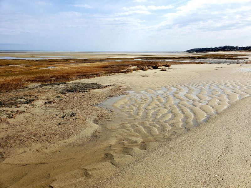 Paine's Creek Landing and Beach