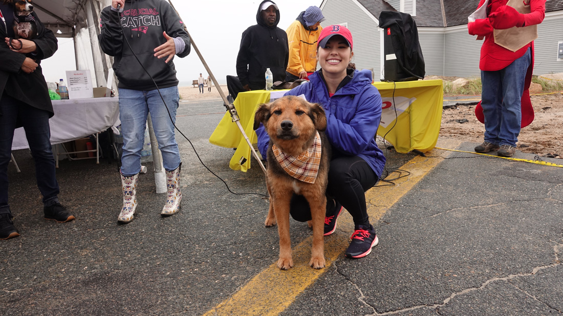 Paws Fest at Craigville Beach!