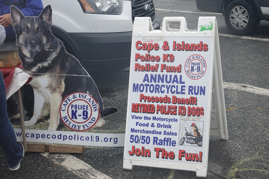 Paws Fest at Craigville Beach!