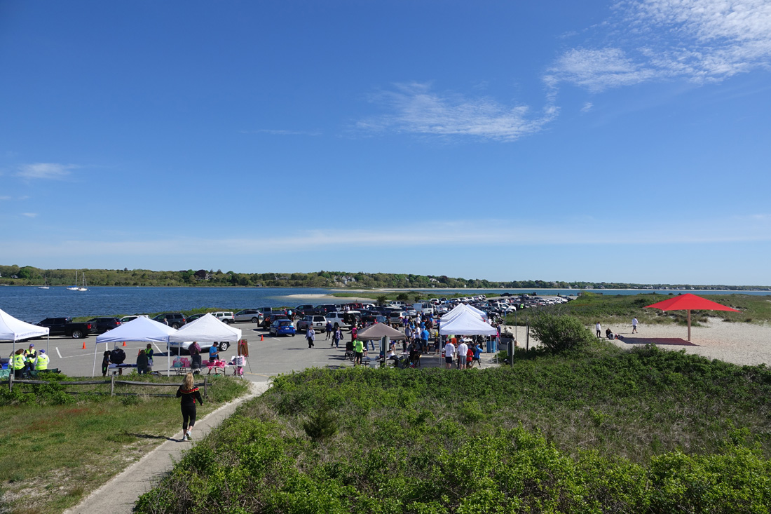 Photos From Glenna Kohl 8th Annual Piggy Trot For Melanoma Awareness!