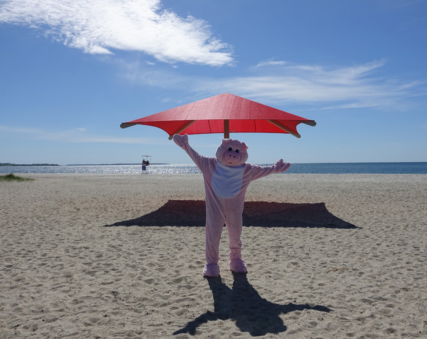 Photos From Glenna Kohl 8th Annual Piggy Trot For Melanoma Awareness!