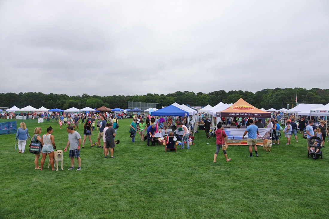 Photos From Paw Palooza 2017!