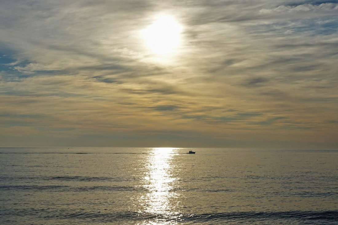 Photos From The Beaches Along Ocean View Drive, Wellfleet!