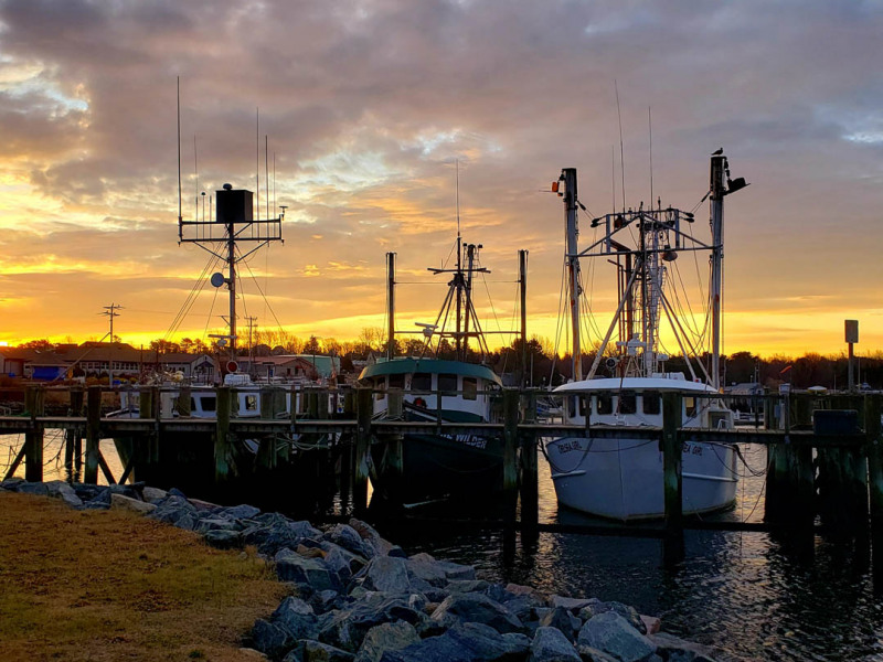 PHOTOS Sunrise at Sandwich Marina