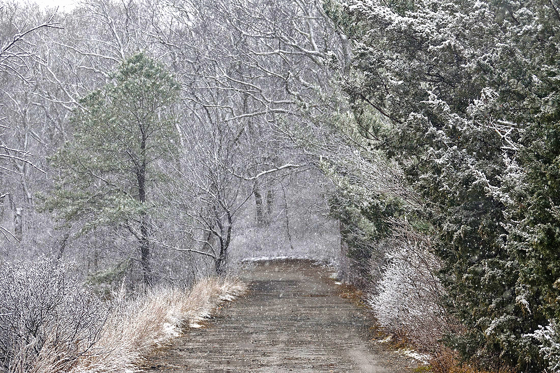 Sandwich Views: Winter Interlude