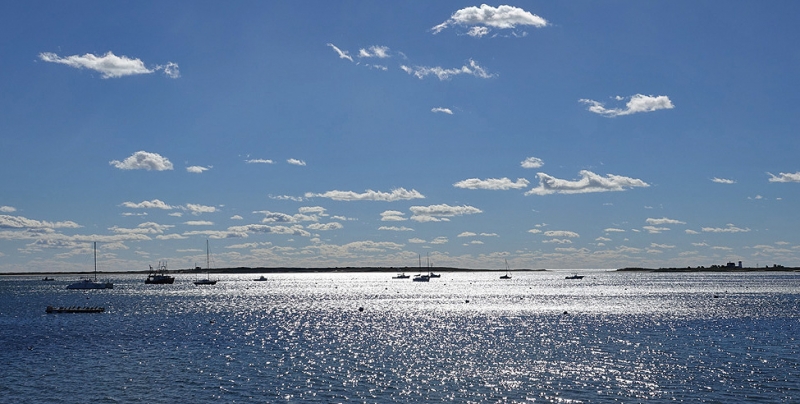 Scenic Views Around Chatham's Harbors