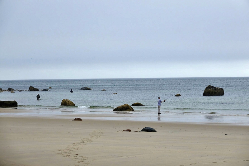Scenic Views By Sesuit Harbor