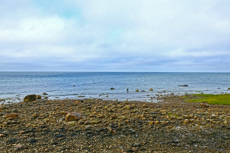 Scenic Views By Sesuit Harbor