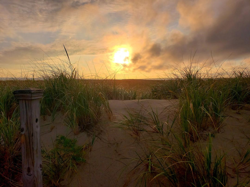 Scusset Beach