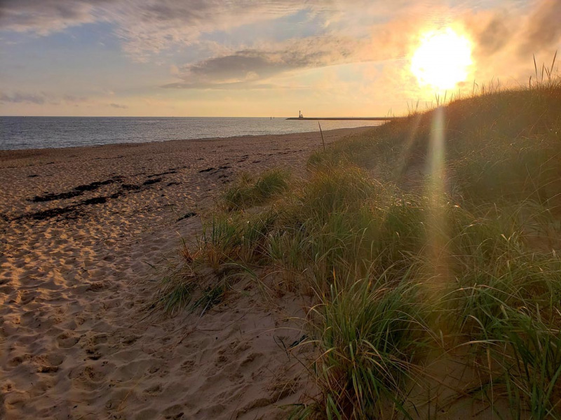 Scusset Beach