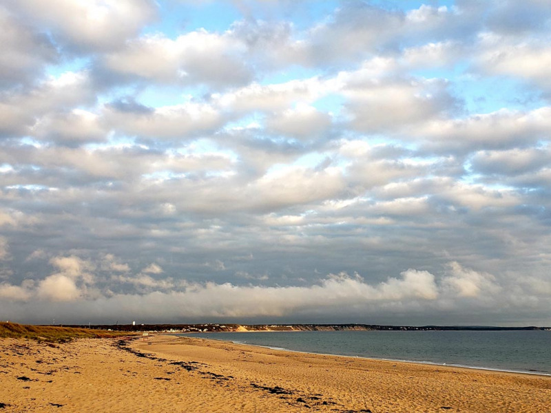 Scusset Beach