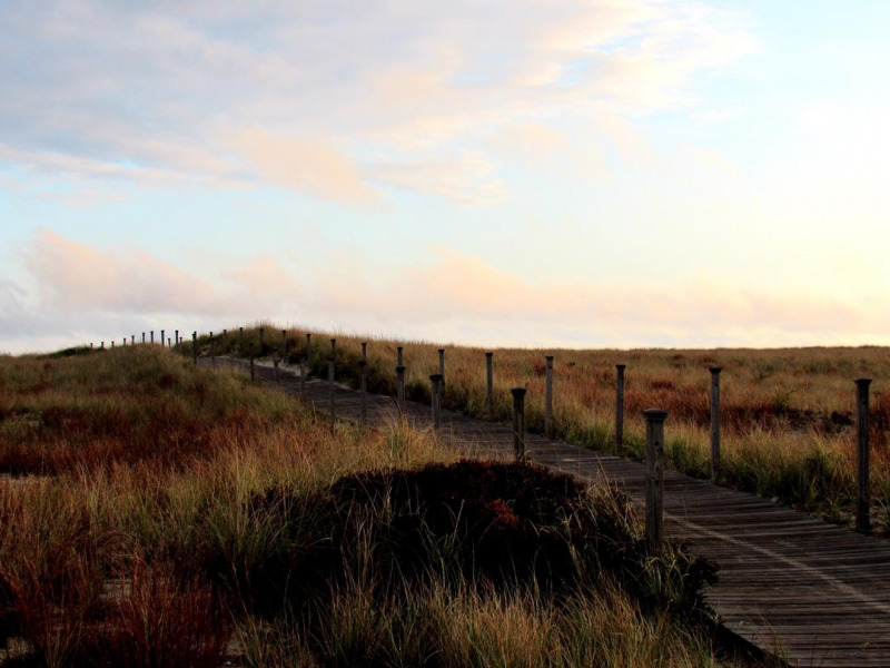 Scusset Beach