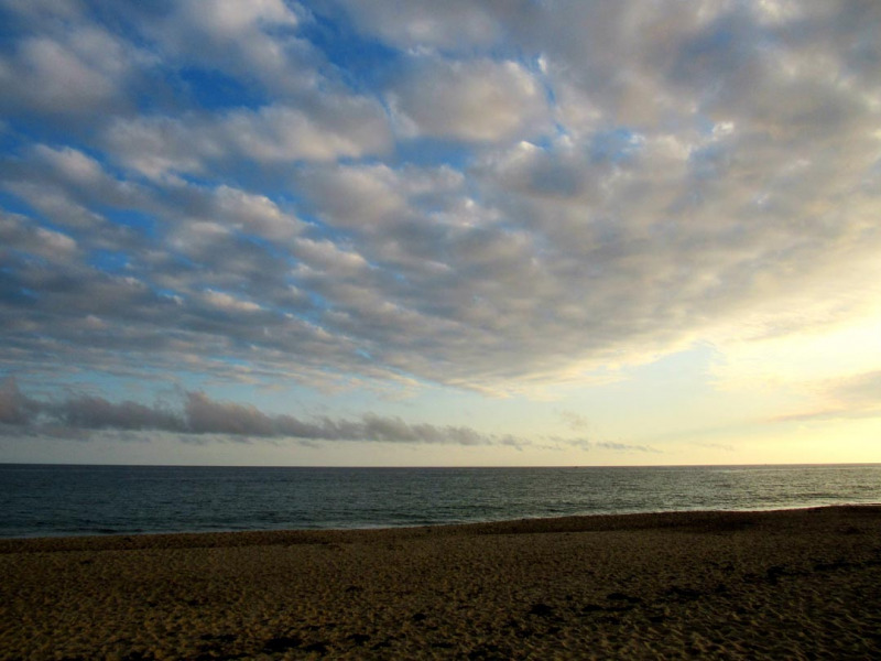 Scusset Beach