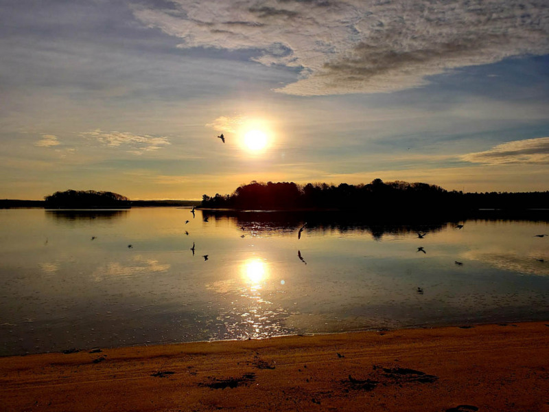 PHOTOS Shell Point Beach